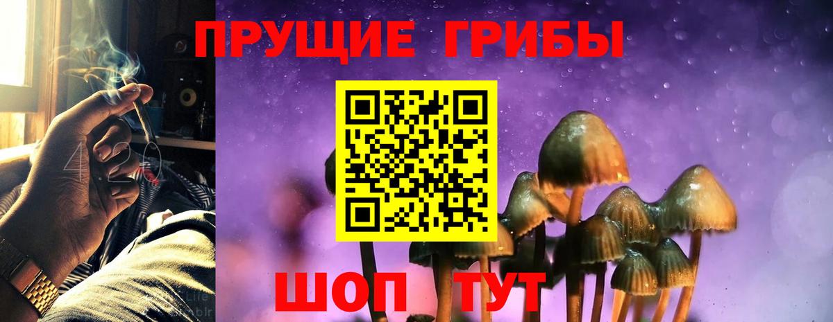 Волжск  Галлюциногенные грибы прущие грибы  Вход с VPN 